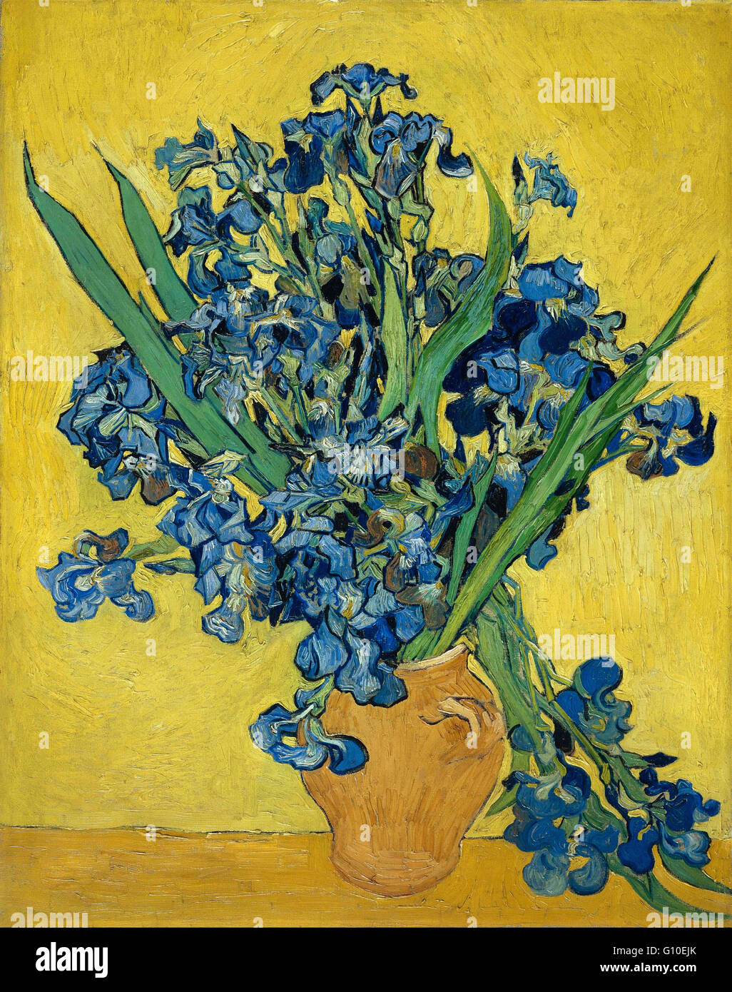 Art painting vincent van gogh irises van gogh museum hires stock
