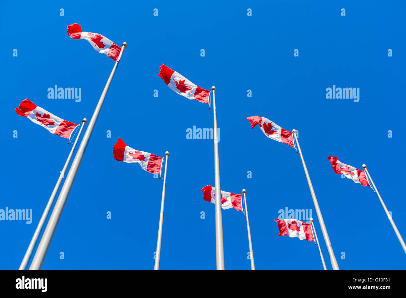 Many Canadian flags waving over blue sky Stock Photo