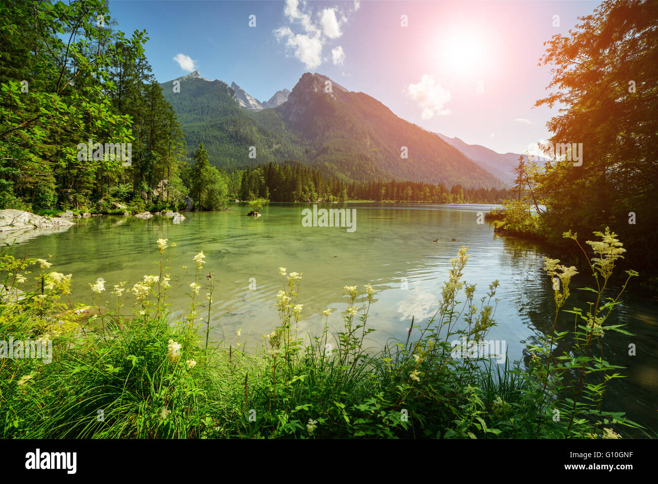 Amazing sunny summer day on the Hintersee lake in Austrian Alps, Europe. Stock Photo