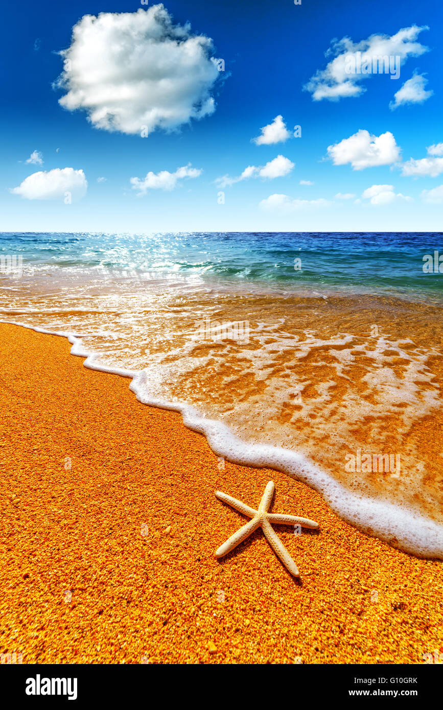 beautiful mediterranean seascape with starfish Stock Photo