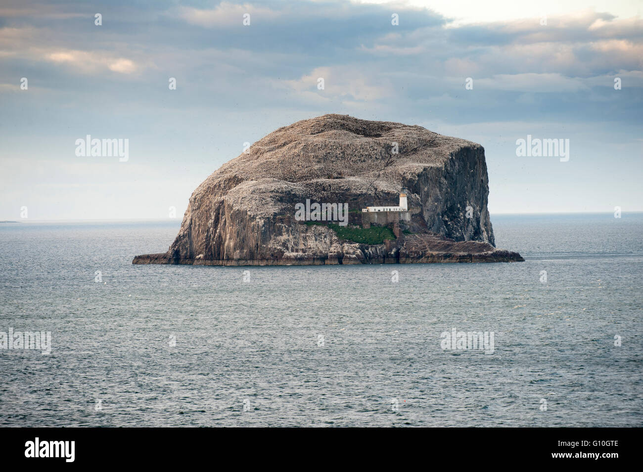 Bass Rock In The Firth Of Forth East Lothian Scotland Uk - 