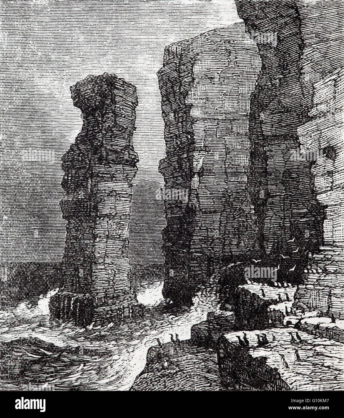 The Duncansby Stacks, prominent sea stacks at Duncansby Head, now a  Site of Special Scientific Interest, The headland juts into the North Sea, with the Pentland Firth to its north and west and the Moray Firth to its south, Scotland Stock Photo