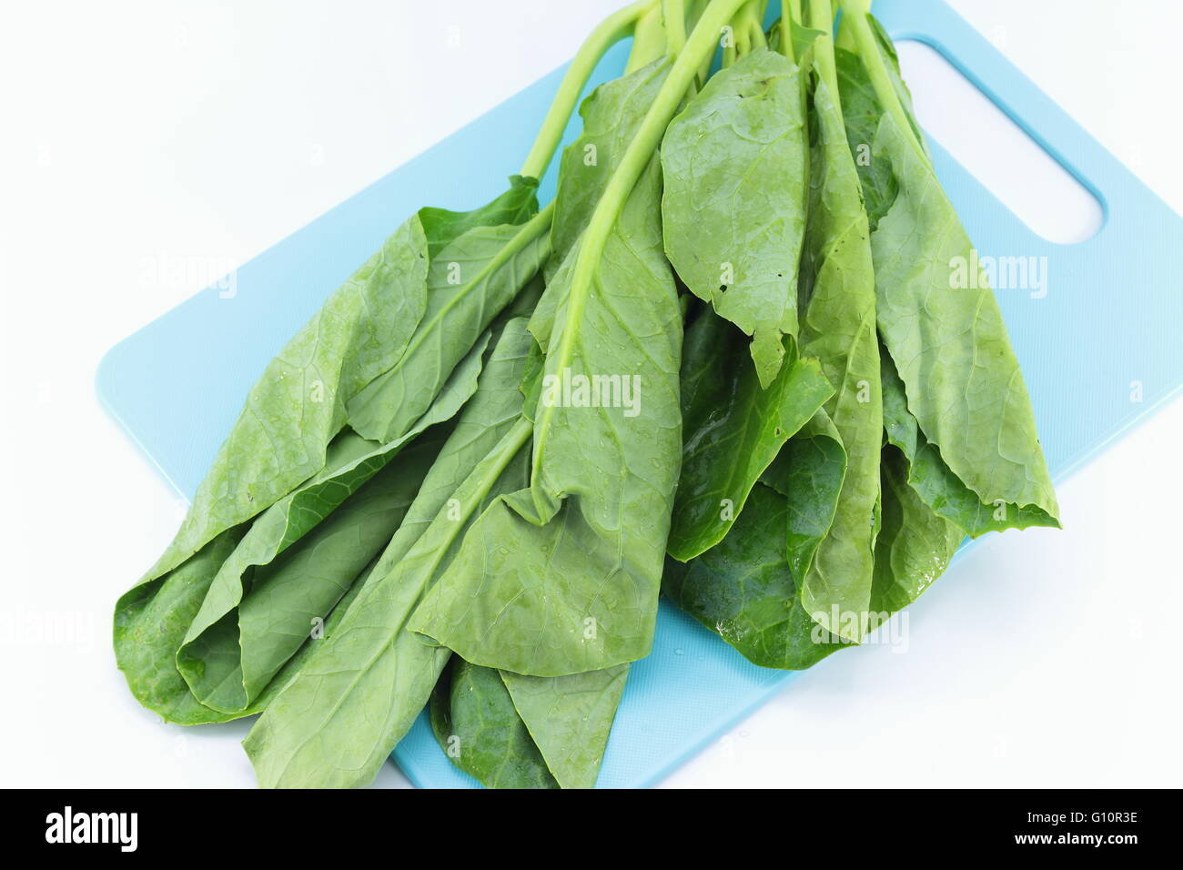 Fresh collard greens leaves, organic vegetable, close-up, healthy  vegetarian food, natural ingredient, package design element, isolated, hand  drawn watercolor illustration on white Stock Photo by ©deslns 480184862