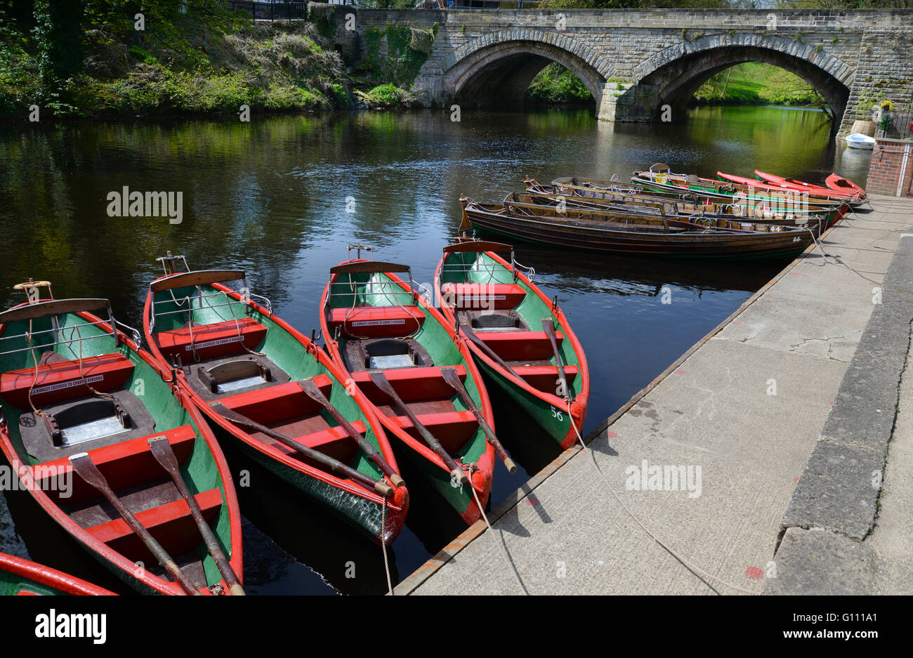 Rowing boats for hire on the River Nidd, Knaresborough, North Yorkshire