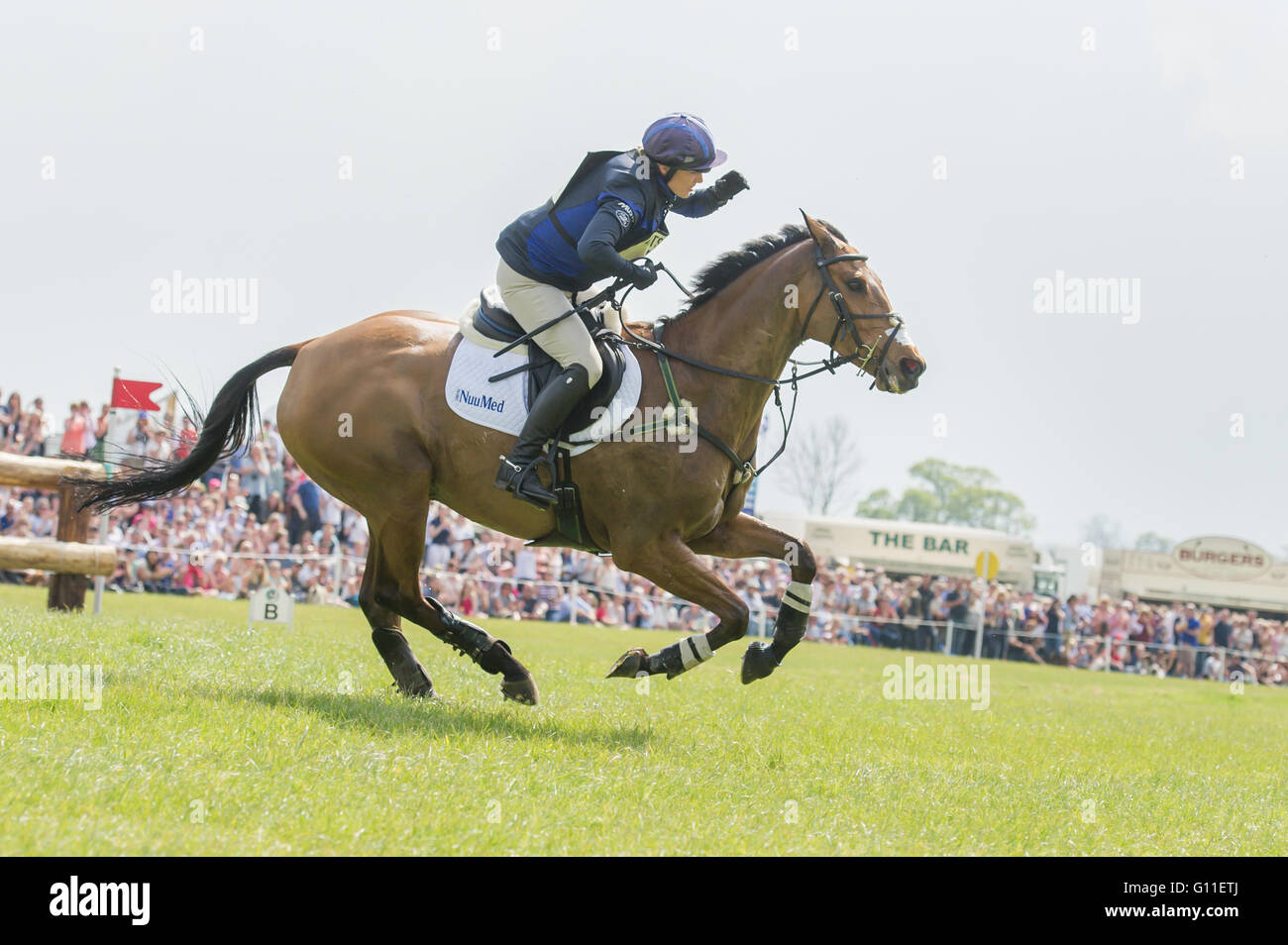 Badminton, South Gloucestershire, UK, 7th May 2016, Zara Tindall and her horse High Kingdom recover from a near fall at the infamous Vigarage Vee fence to complete a clear Cross Country round at the Mitsubishi Motors Badminton Horse Trials 2016. Credit: Trevor Holt/Alamy Live News Stock Photo