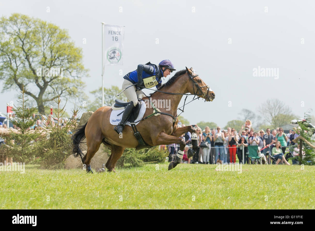 badminton, South Gloucestershire, UK, 7th May 2016, Zara Tindall and her horse High Kingdom recover from a near fall  at the infamous  Vigarage Vee  fence to complete a clear   Cross Country round at the Mitsubishi Motors Badminton Horse Trials 2016.  Credit: Trevor Holt / Alamy Live News Stock Photo