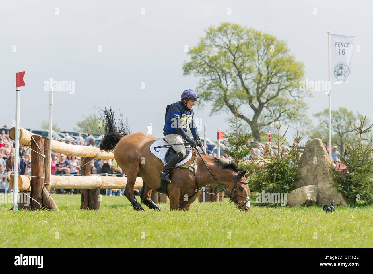 badminton, South Gloucestershire, UK, 7th May 2016, Zara Tindall and her horse High Kingdom recover from a near fall  at the infamous  Vigarage Vee  fence to complete a clear   Cross Country round at the Mitsubishi Motors Badminton Horse Trials 2016.  Credit: Trevor Holt / Alamy Live News Stock Photo