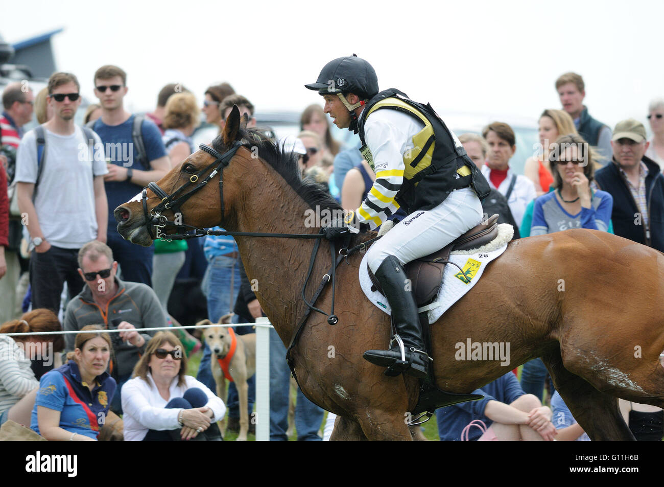 Badminton, England. 7th May 2016 The 2016 Mitsubishi Motors Badminton Horse Trials. Sam Griffiths riding Paulank Brockagh in action during the Cross Country Phase on Day 3. The Mitsubishi Motors Badminton Horse Trials take place 5th - 8th May. Credit:  Jonathan Clarke/Alamy Live News Stock Photo