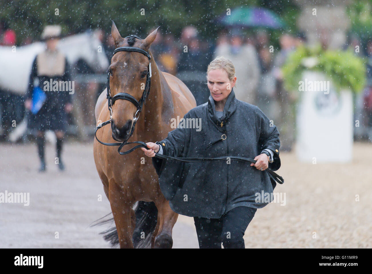 Badminton, South Gloucestershire, UK,  8th May 2016, Zara Tindall and her horse High Kingdom take part in the final horse inspection at the Mitsubishi Motors Badminton Horse Trials 2016. Credit: Trevor Holt / Alamy Live News Stock Photo