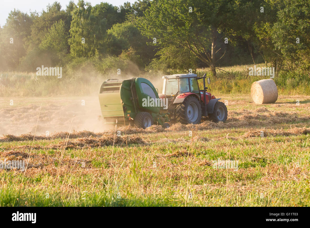 round baler gathers in straw during harvesting Stock Photo