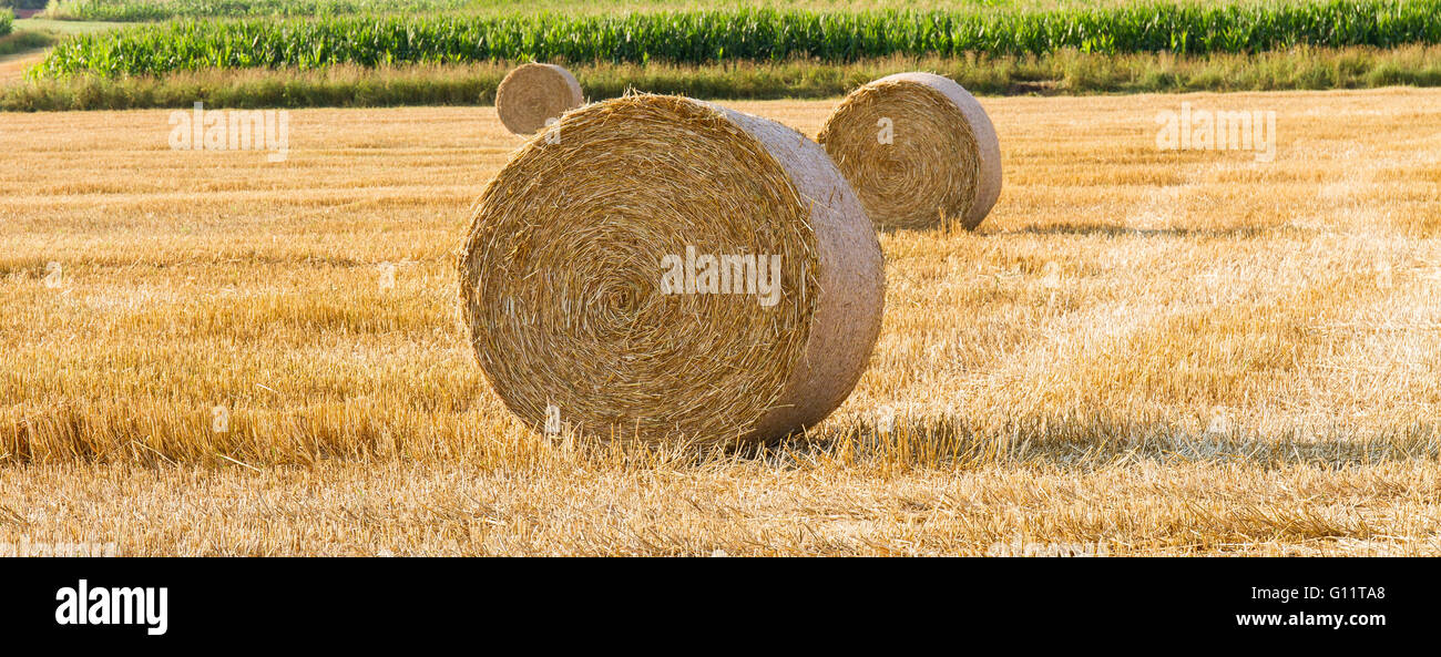 Straw bales on field near hi-res stock photography and images - Alamy