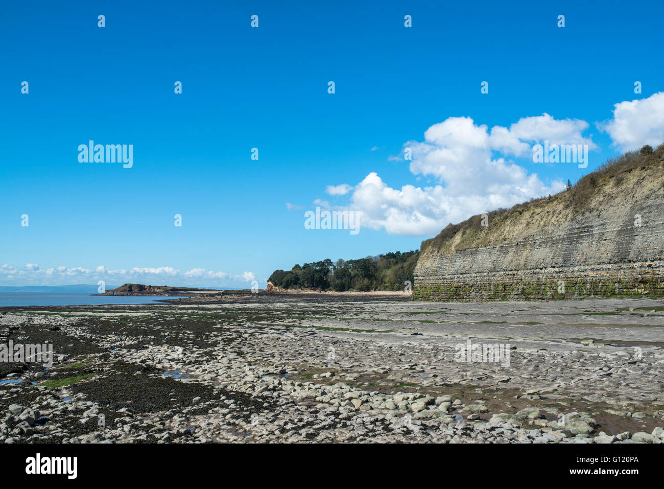 Seaweed on a pebble beach, below cliffs, with a tidal island in the bay. Stock Photo