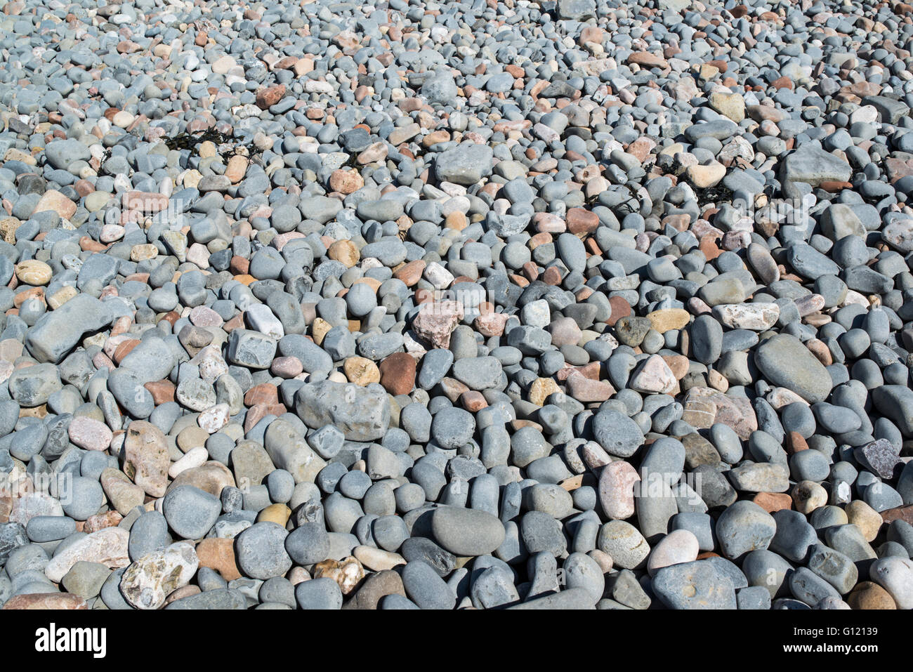 Multi-coloured pebbles on a beach. Stock Photo
