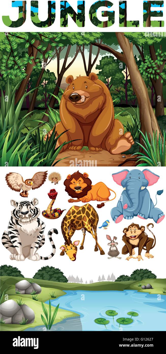 Wild animals living in the jungle illustration Stock Vector Image & Art ...
