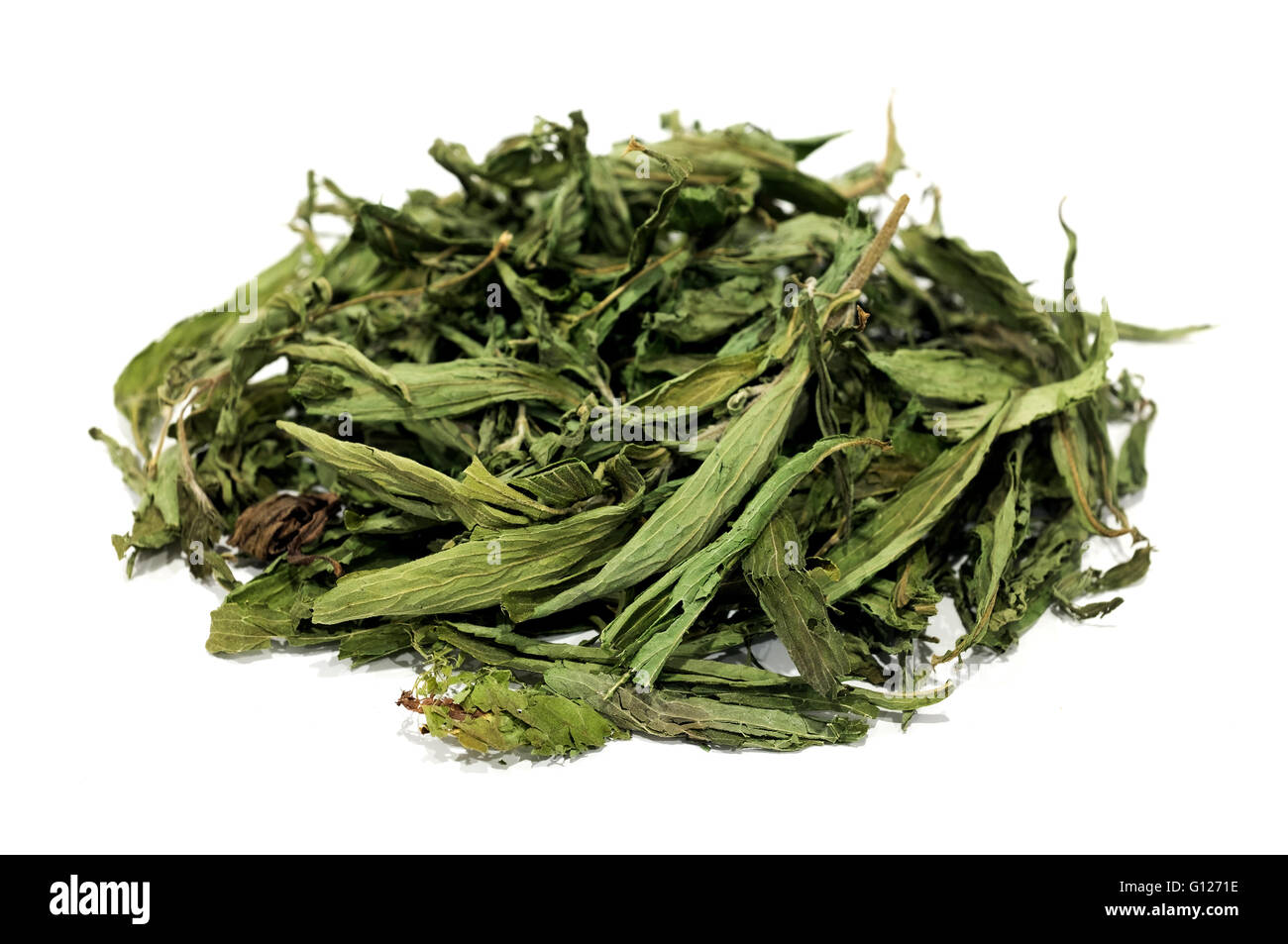 Dried stevia leaves on a white background Stock Photo Alamy