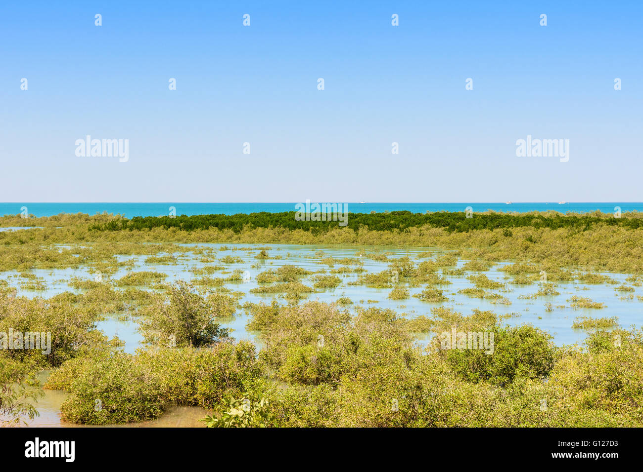 The mangrove habitat of Roebuck Bay, Broome, Kimberley, Western Australia, Australia Stock Photo