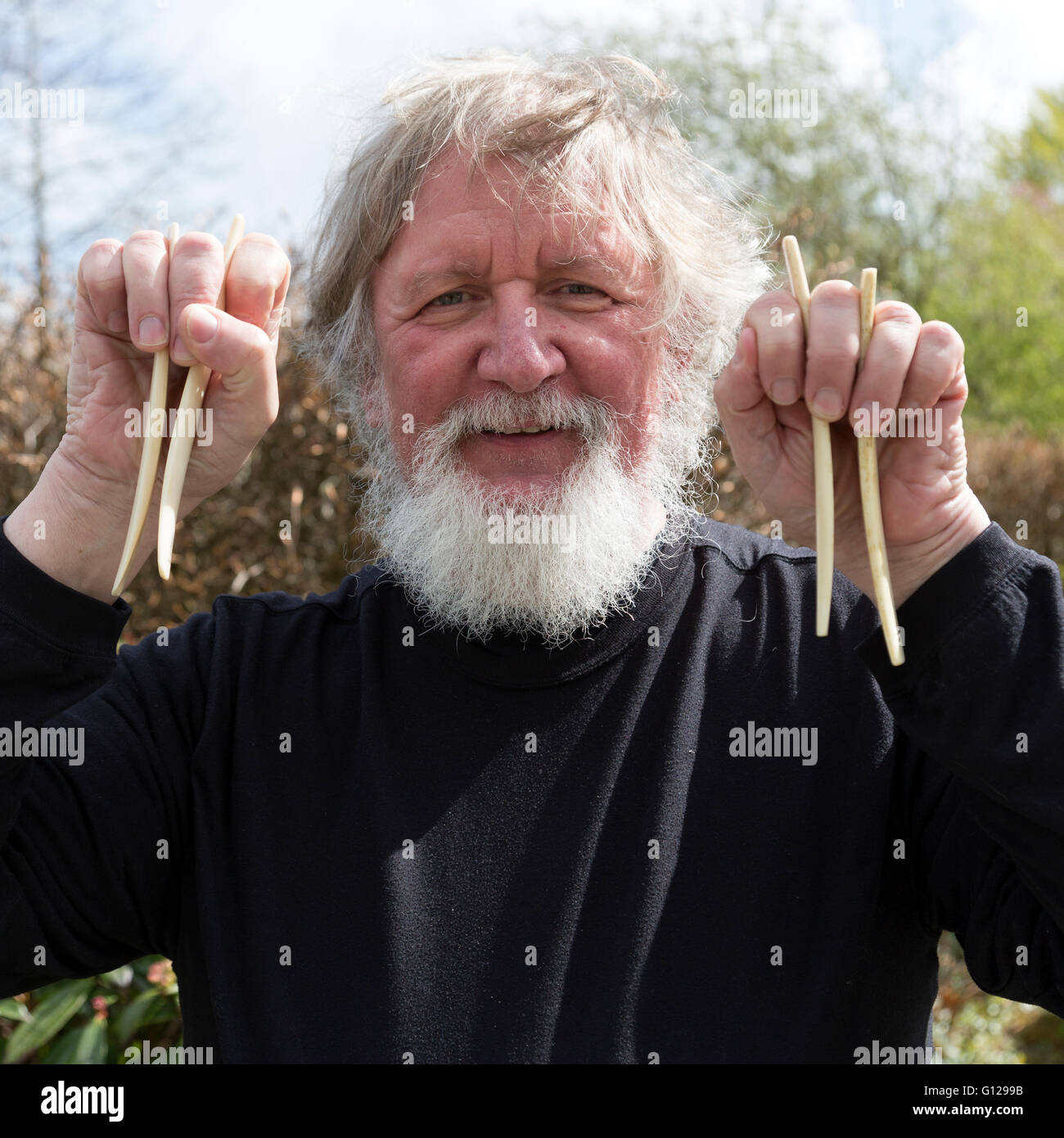 Man playing the musical bones, an Old folk instrument Stock Photo Alamy