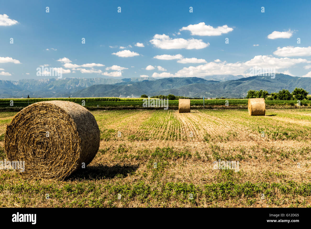 storm is coming on a field with hay bales Stock Photo - Alamy