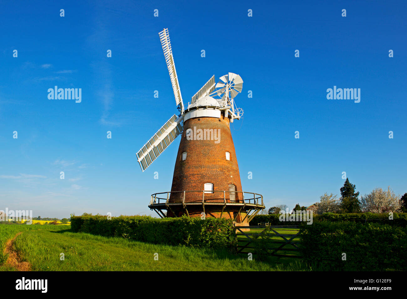 John Webb's Windmill, Thaxted, Essex, England UK Stock Photo