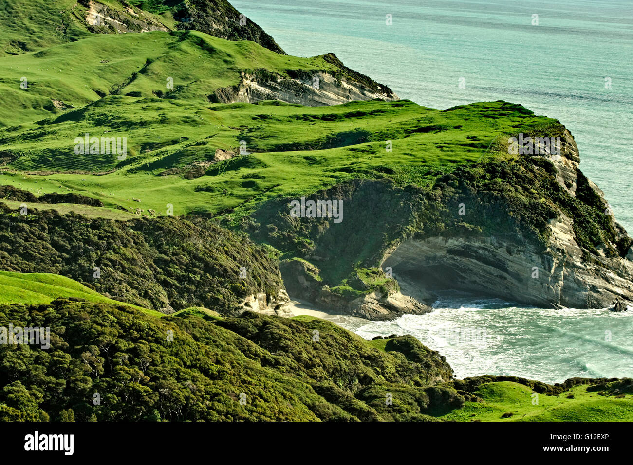 NELSON NEW ZEALAND Stock Photo - Alamy