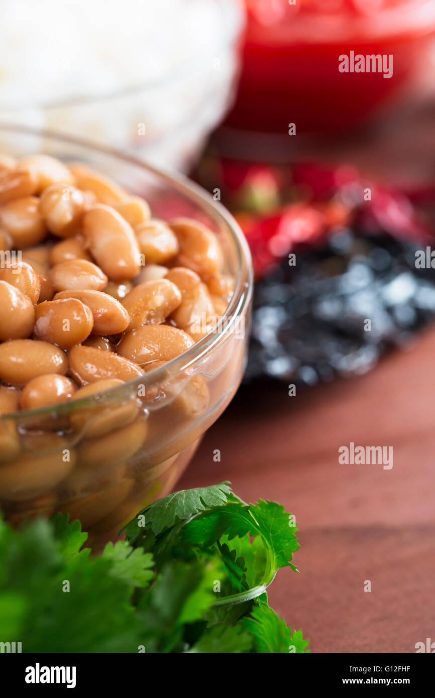 Pinto beans and other ingredients for Mexican cooking. Stock Photo