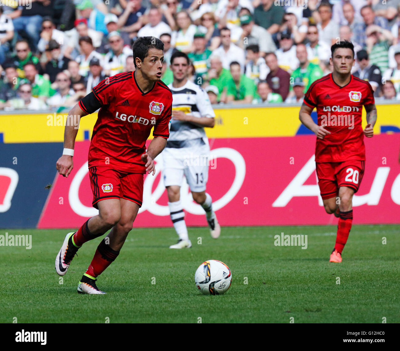 sports, football, Bundesliga, 2015/2016, Borussia Moenchengladbach versus Bayer 04 Leverkusen 2:1, Stadium Borussia Park, scene of the match, Chicharito (Bayer) in ball possession, right Charles Aranguiz (Bayer) Stock Photo