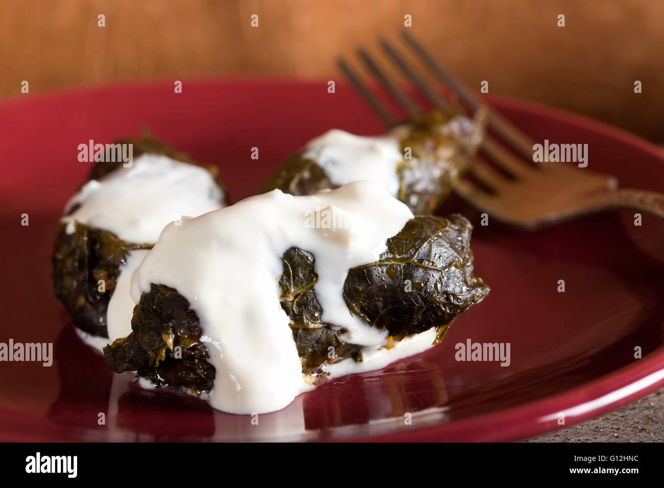 Stuffed cabbage rolls in grape leaves with sour cream on a red plate Stock Photo
