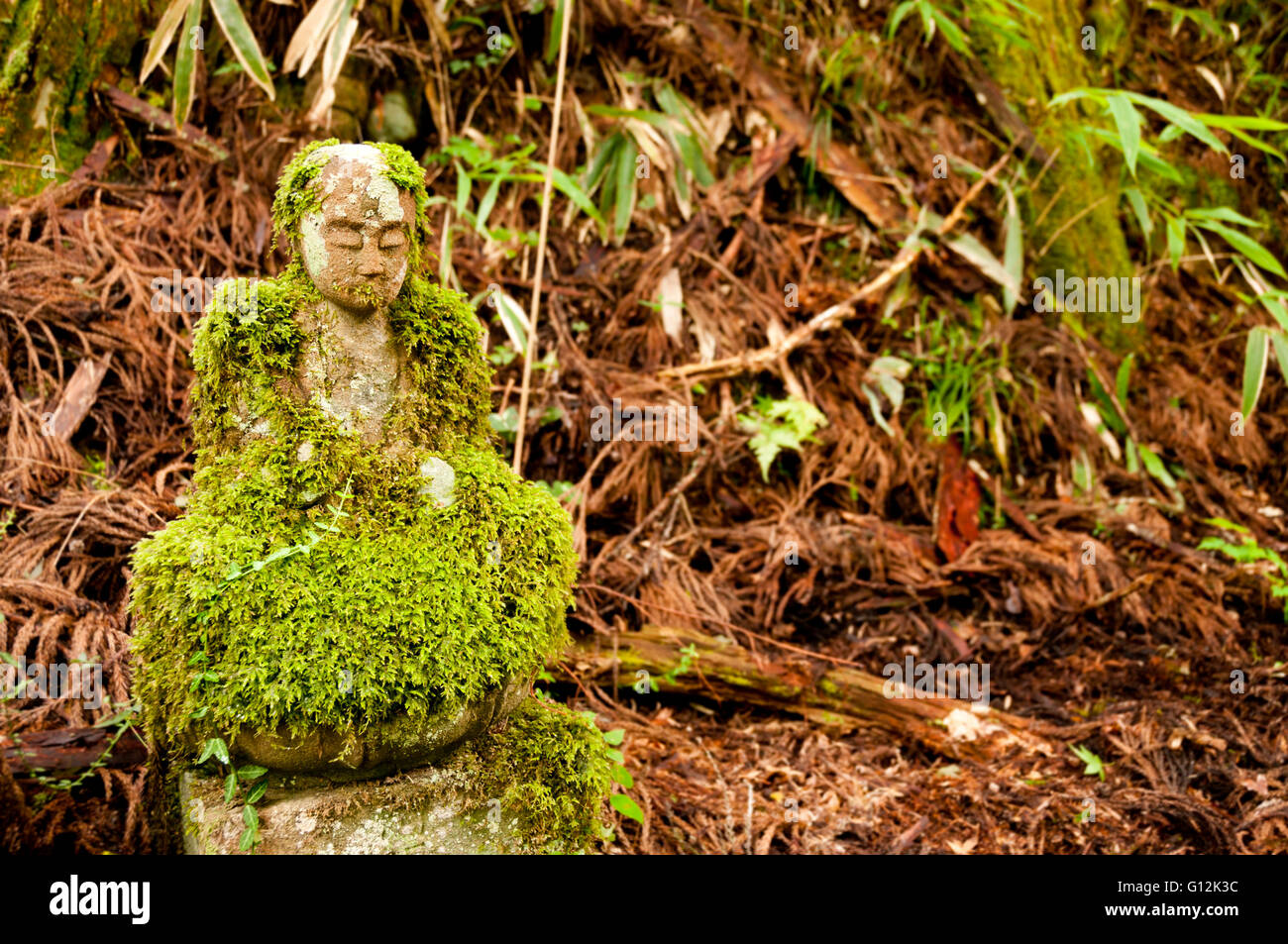 Mossy bodhisattva statue at Okunoin cemetery, Japan Stock Photo