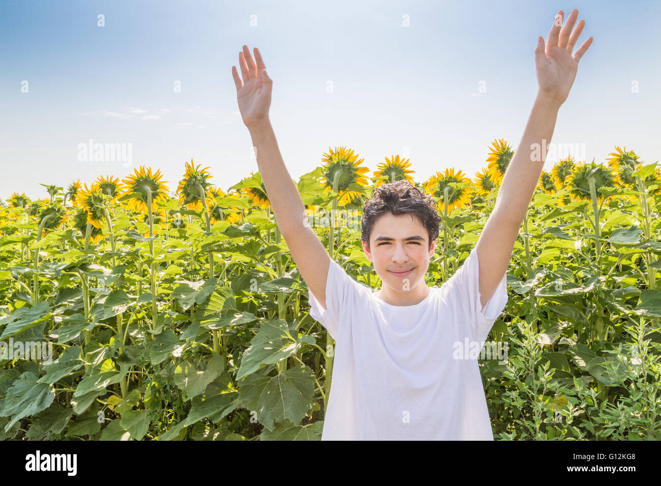 Open air and open arms – Caucasian boy is raising his arms in front of yellow sunflower fields during summer in Italian countryside Stock Photo