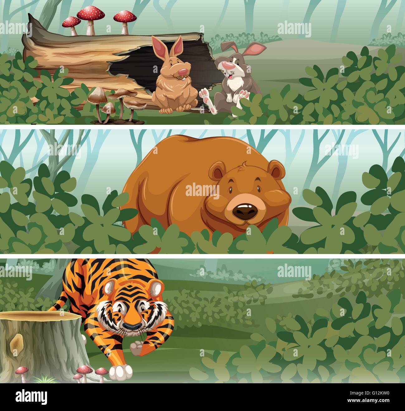 Wild animals in the jungle illustration Stock Vector Image & Art - Alamy