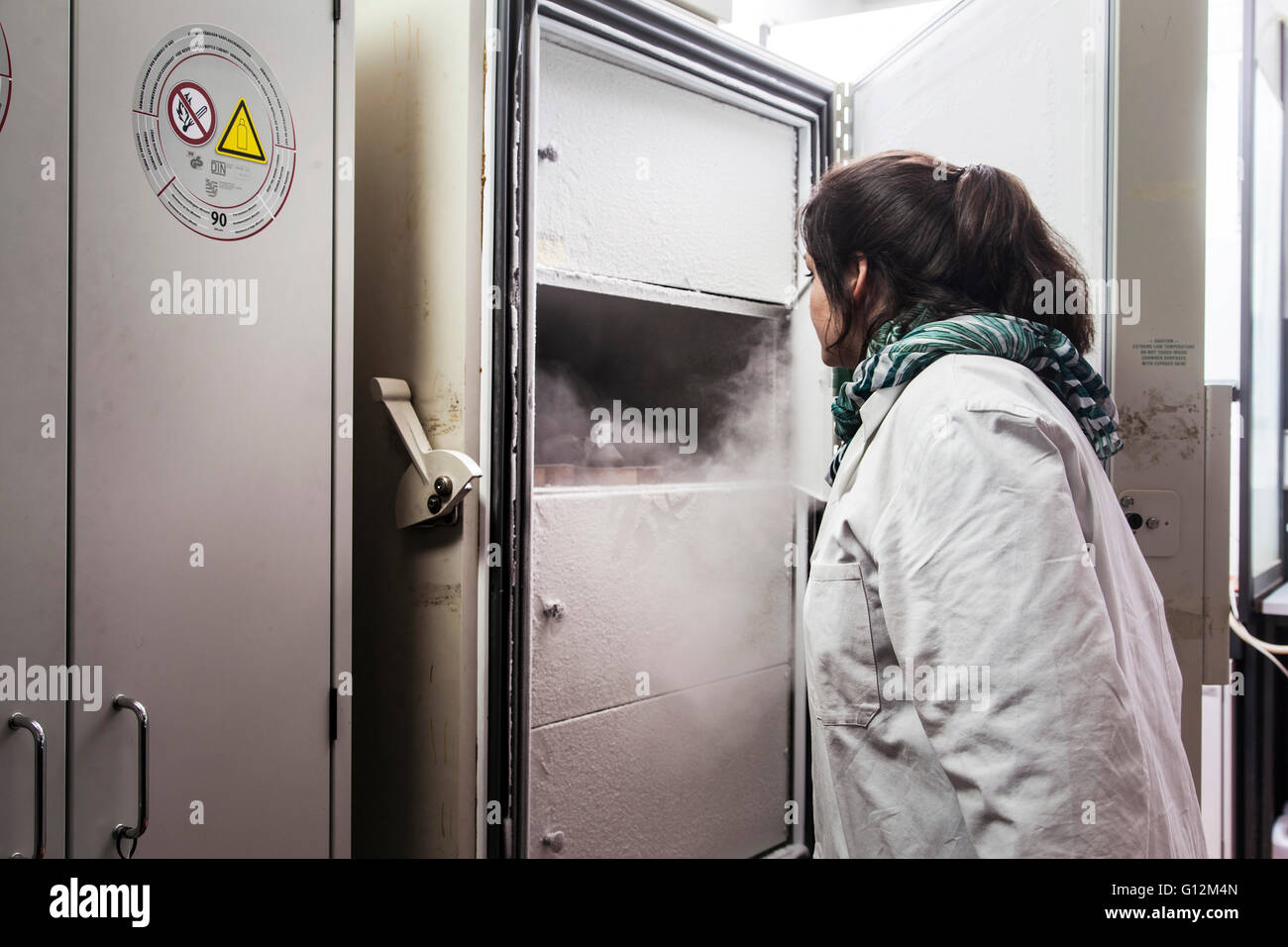 Researcher inspect fungus cultures in the laboratory freezer. Stock Photo