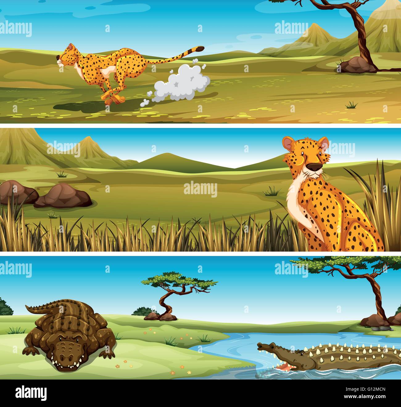 Wild animals in the field illustration Stock Vector Image & Art - Alamy