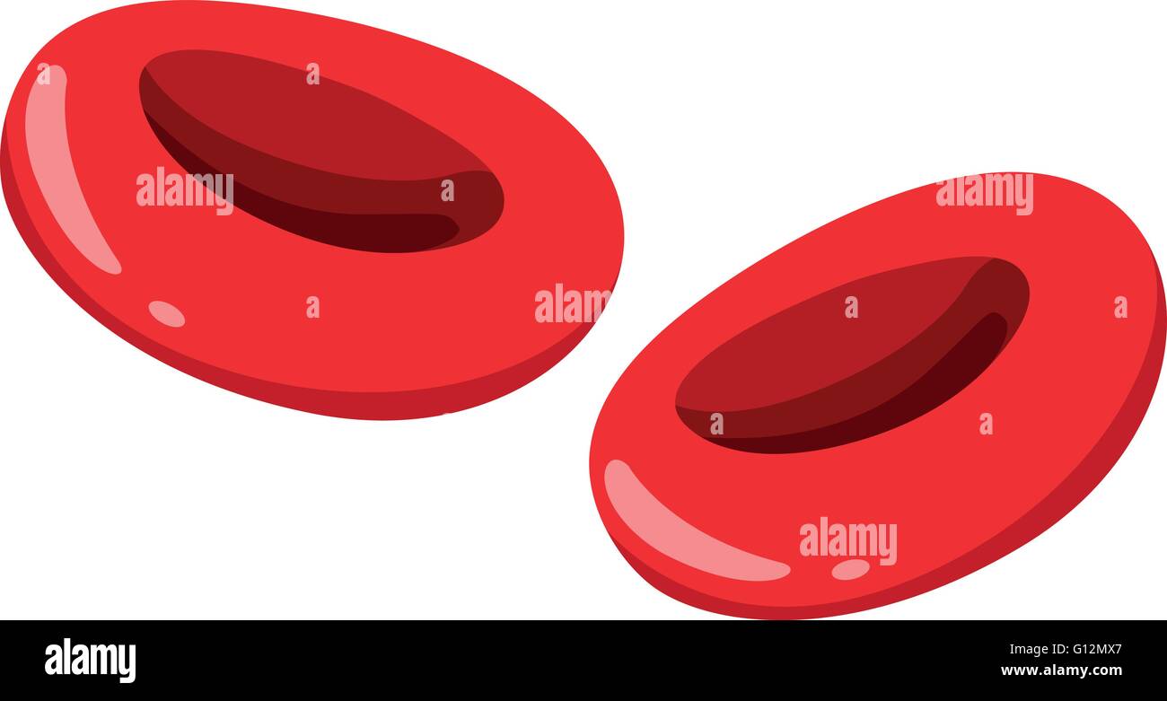 Close up red blood cells illustration Stock Vector