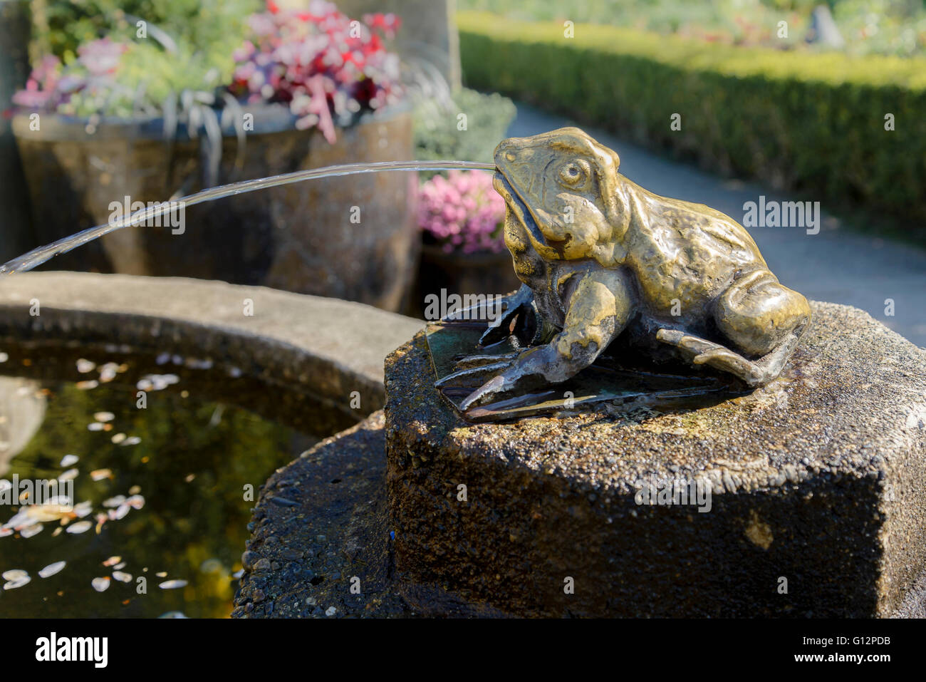 Frog fountain butchart gardens frogwater fountain hi-res stock