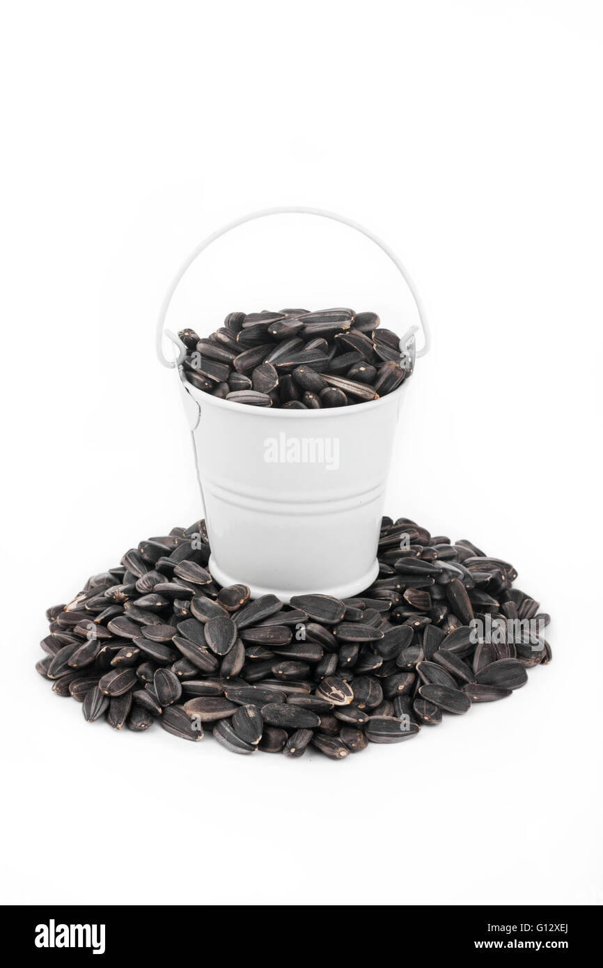 White bucket full of sunflower seeds, stands on a heap sunflower, on a