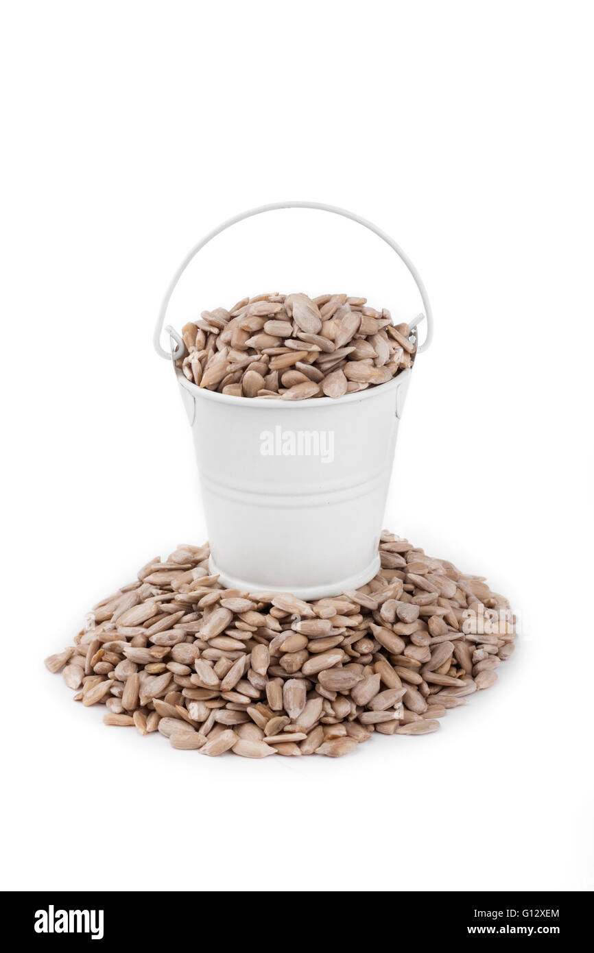White bucket full of sunflower seeds, stands on a heap sunflower, on a