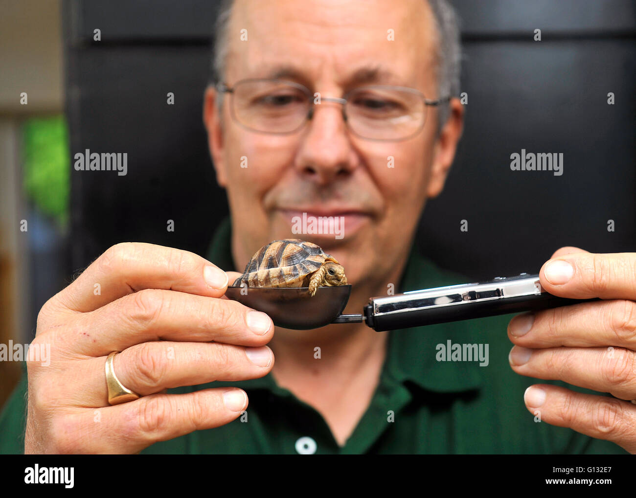 Egyptian eats nails, glass and teaches his children Egyptian eats nails, glass and teaches his children