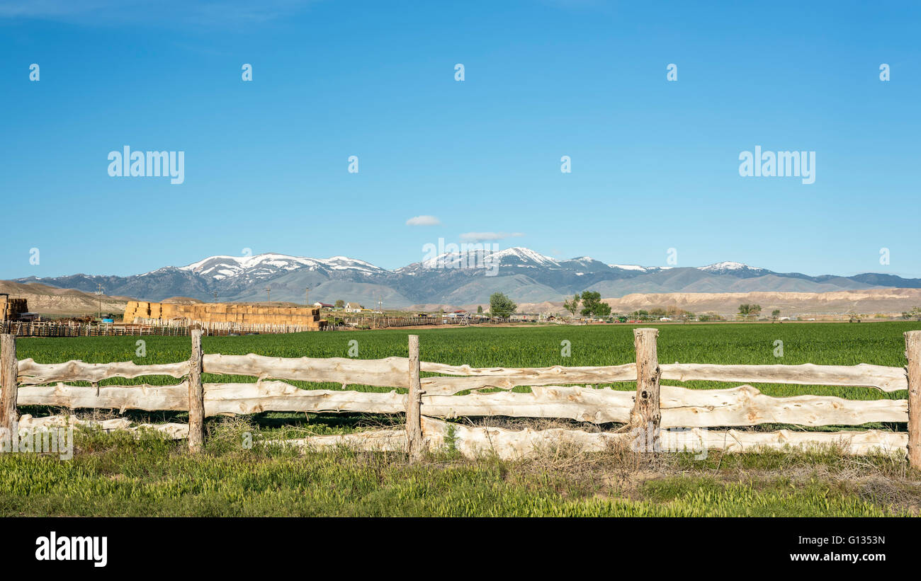 Owyhee mountains hires stock photography and images Alamy