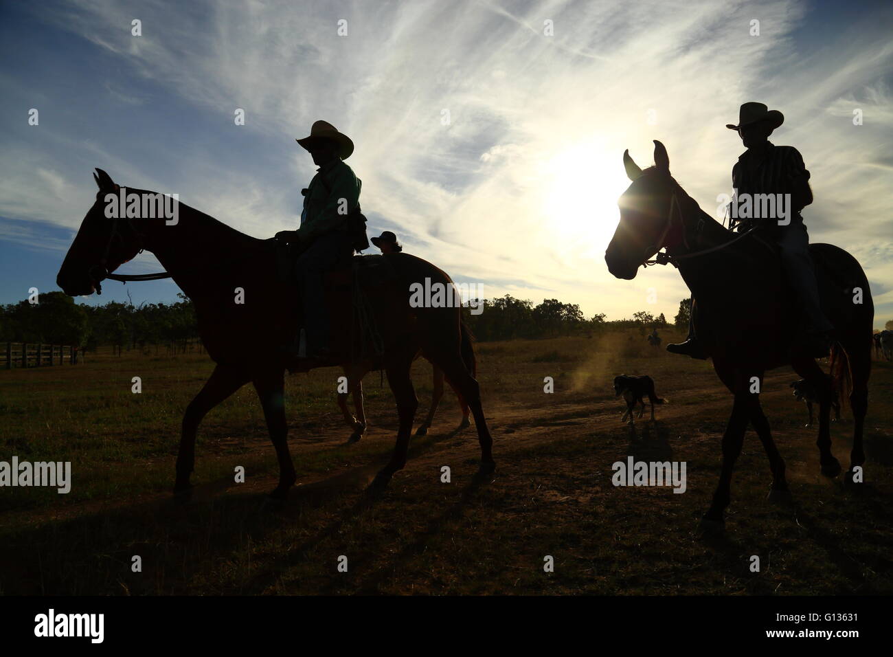 Two cowboys and a cowgirl plus hoses silhouetted against the setting sun in Eidsvold, Queensland, Australia. Stock Photo
