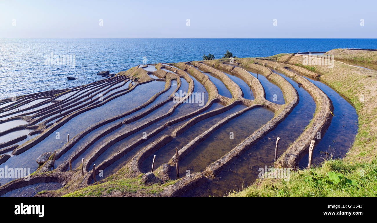 Shiroyone Senmaida rice fields near Wajima on Noto Hanto, Japan Stock Photo