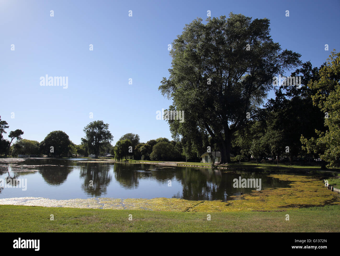 hagley park christchurch new zealand south island Stock Photo Alamy