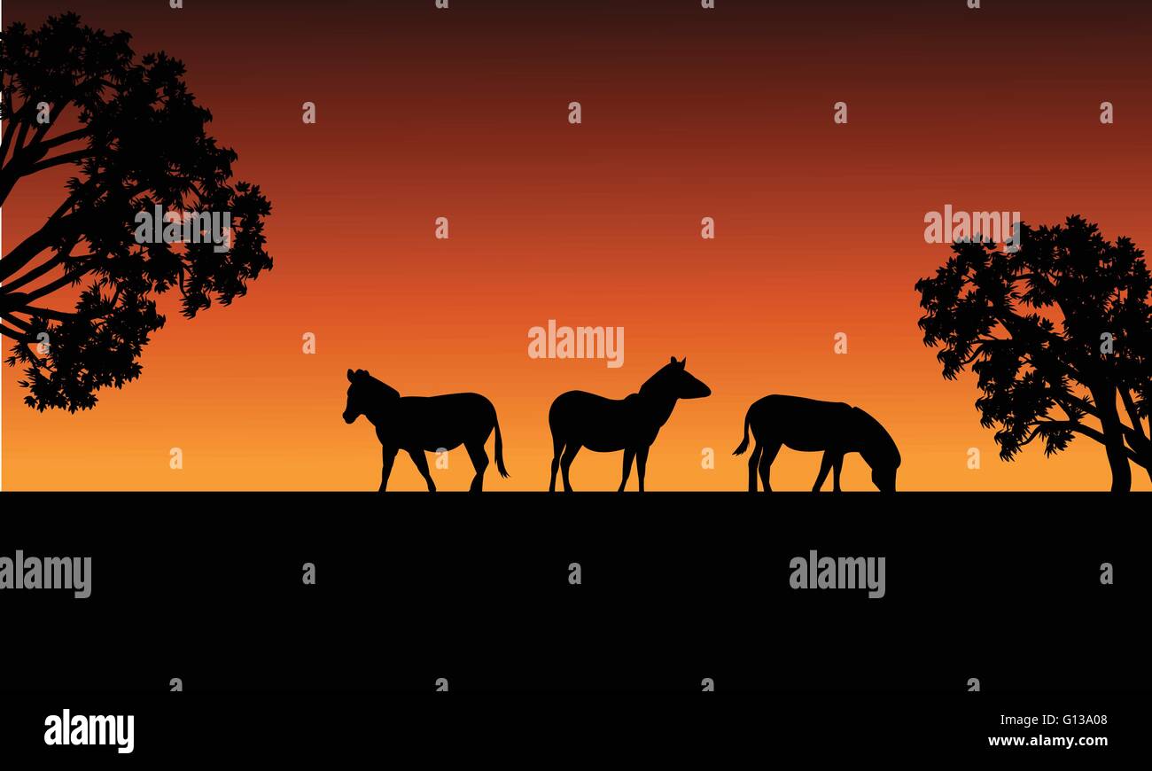 Zebra silhouette in fields Stock Vector Image & Art - Alamy