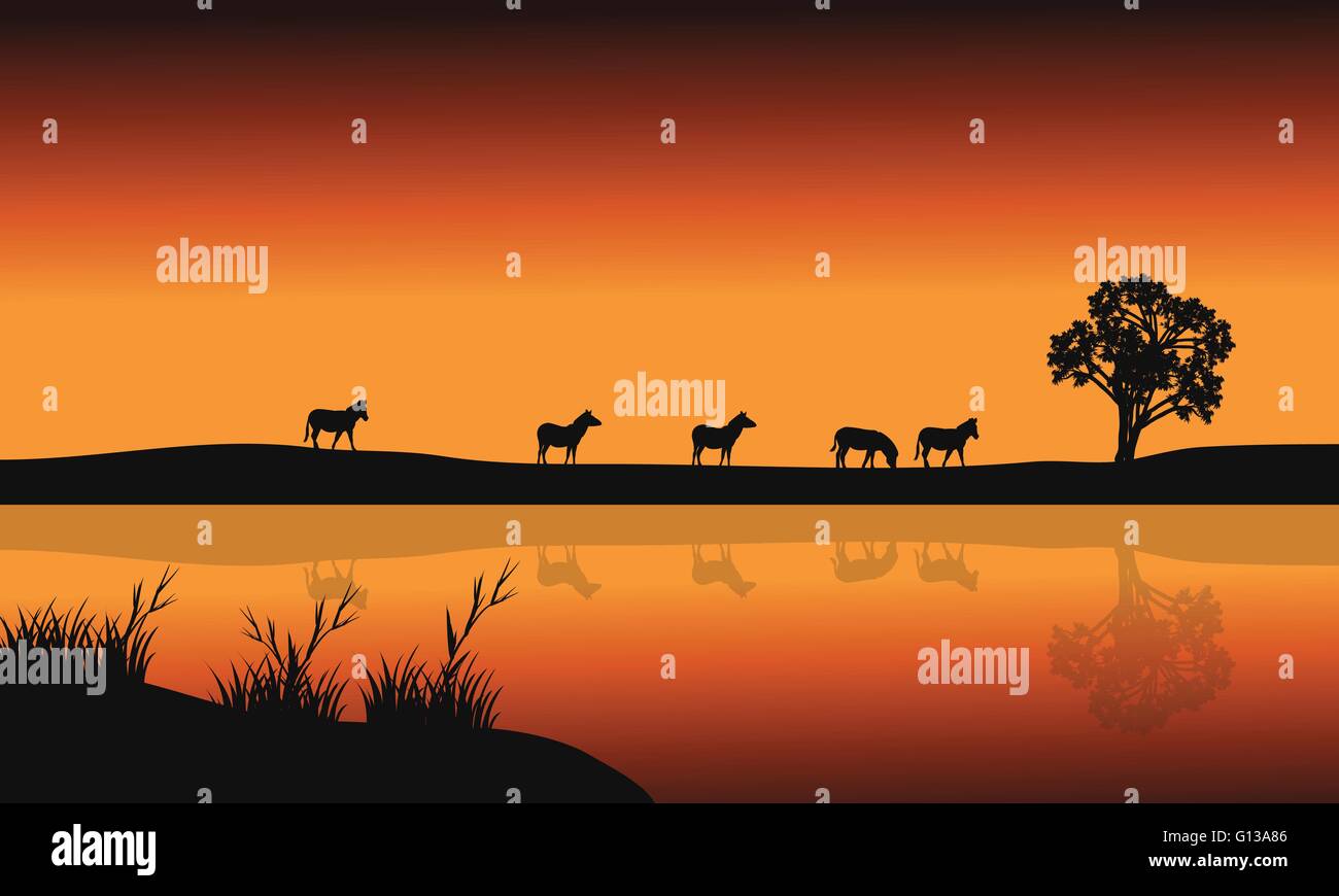 Silhouettes of zebara and lake Stock Vector Image & Art - Alamy