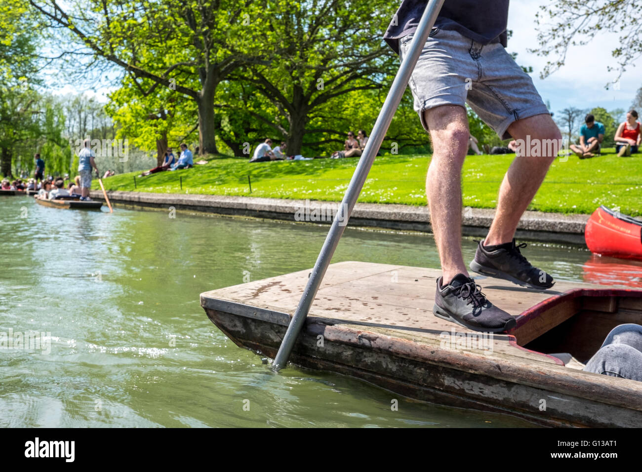 A punting guide strokes the punt along the green Cam River on a day filled with tourism, fun, excitement. Stock Photo