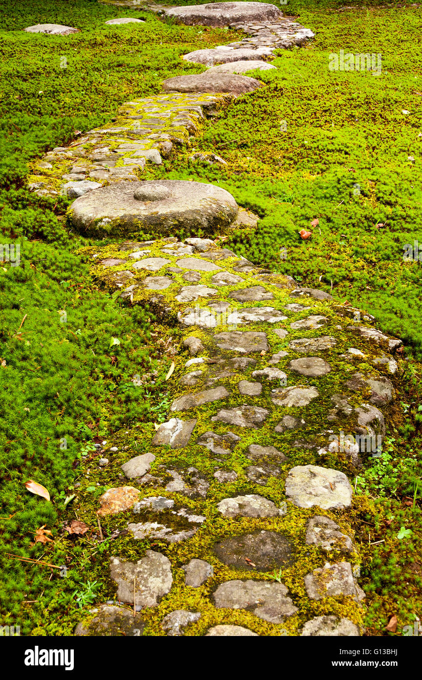 Path paved with big stones Stock Photo