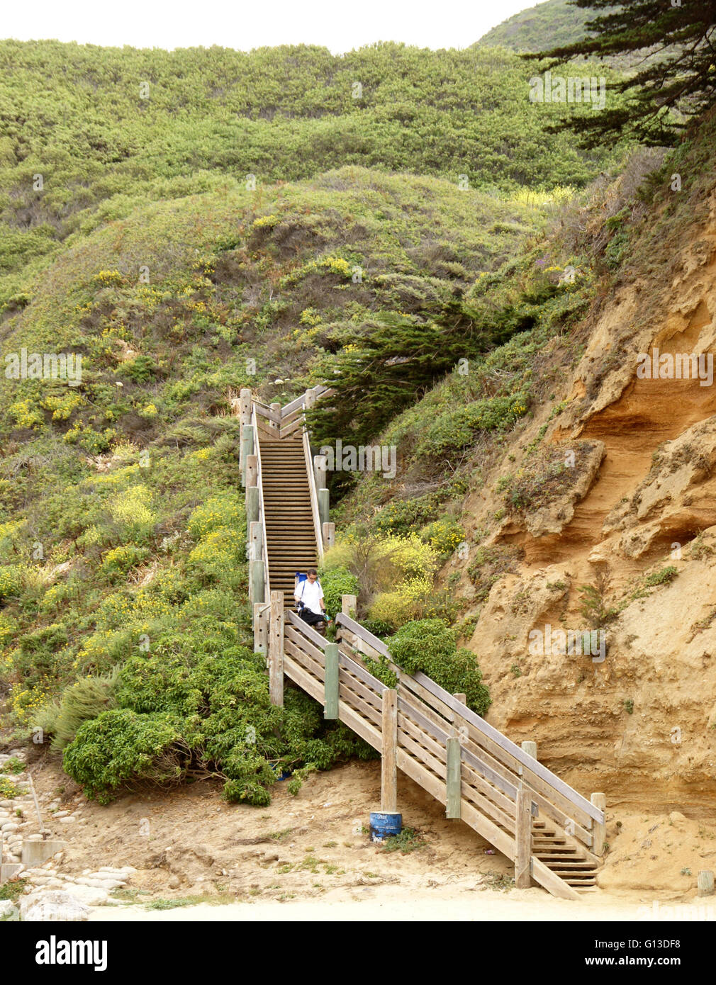 Wooden Stairs Leading To Half Moon Bay California Visitors Have To Descend Long Staicase To Reach The Beach With Clear Waters Stock Photo Alamy