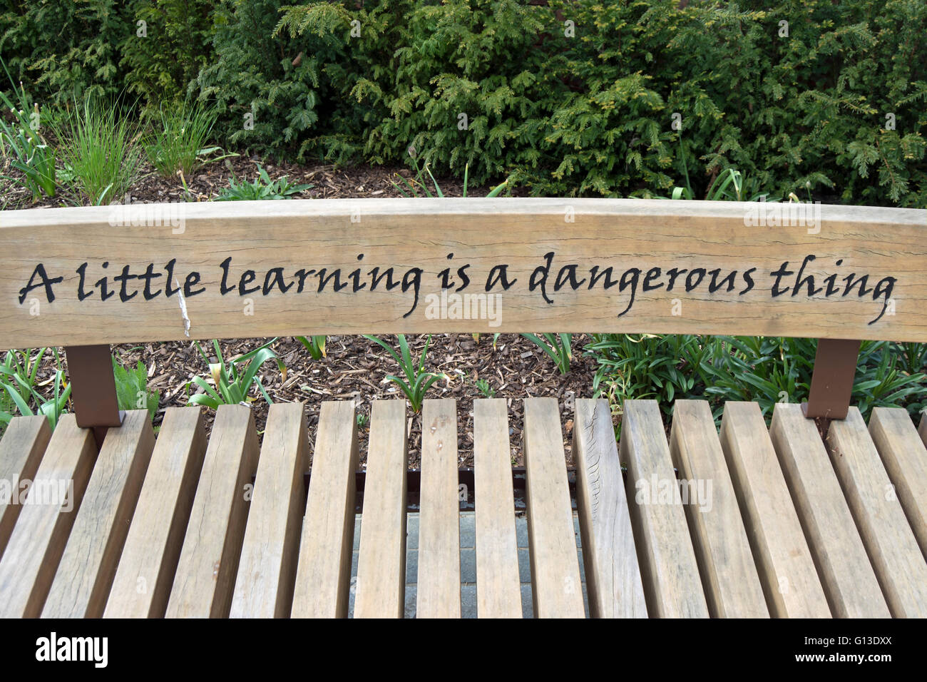 an alexander pope quote, from an essay on criticism, on a bench in twickenham, middlesex, england Stock Photo