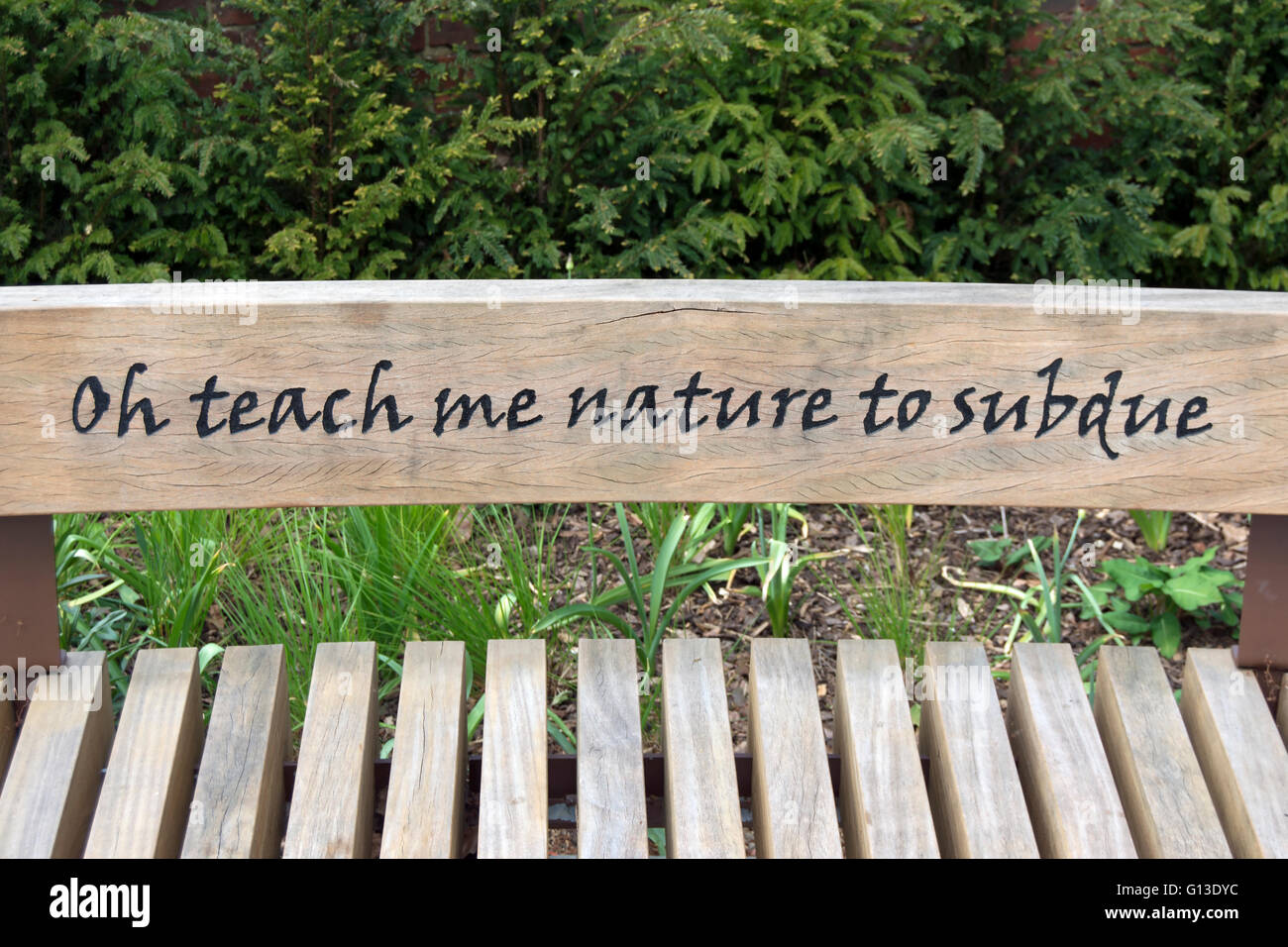 an alexander pope quote, from the poem eloisa to abelard, on a bench in twickenham, middlesex, england Stock Photo