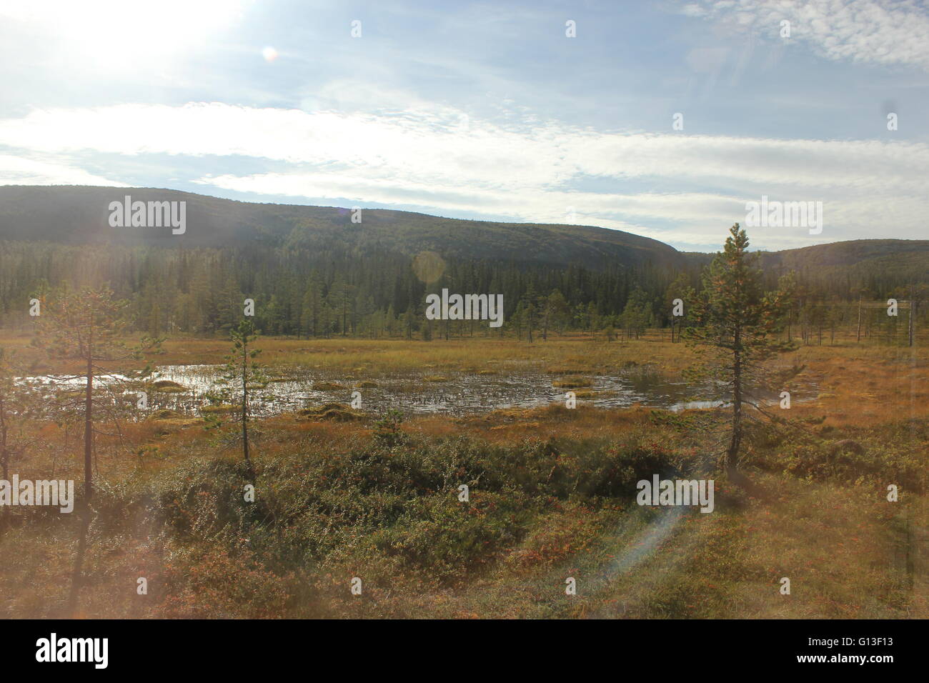 Heathlands with lake and mountains in the Fulufjället National Park, Dalarna, Sweden Stock Photo