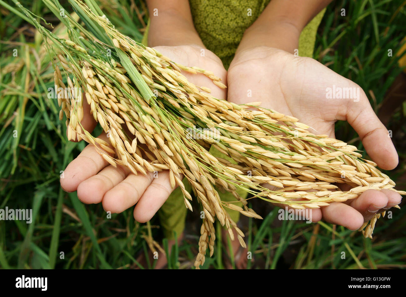 World food security, a global problem, famine at africa, children need to help, poor people need food to live, kid hand Stock Photo
